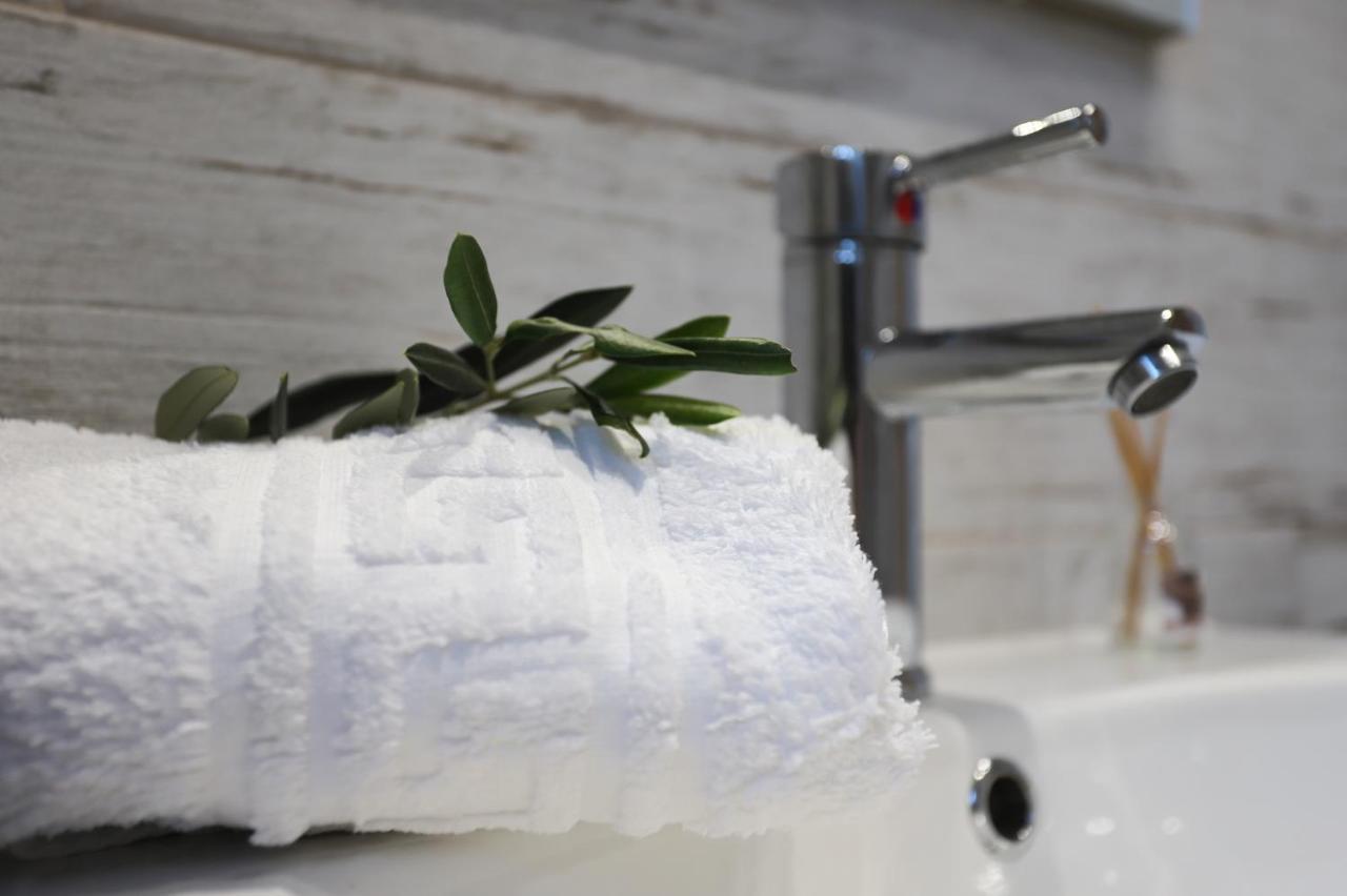 Olive Grove Deluxe apartment Agnítsini Extérieur photo