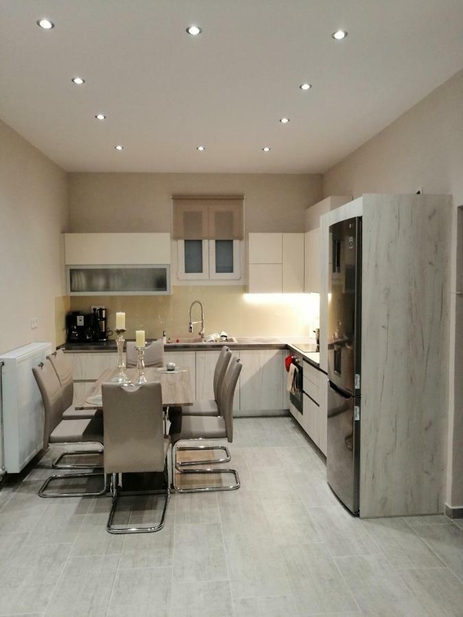 Olive Grove Deluxe apartment Agnítsini Extérieur photo