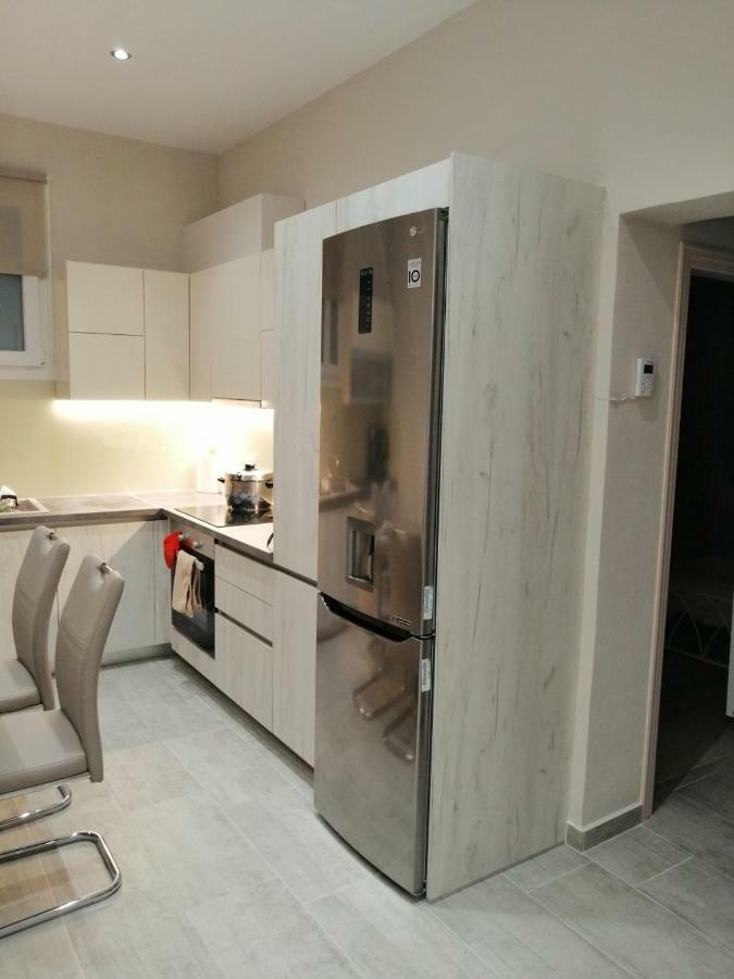 Olive Grove Deluxe apartment Agnítsini Extérieur photo
