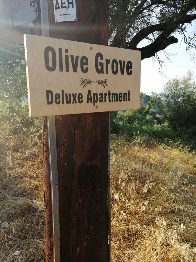 Olive Grove Deluxe apartment Agnítsini Extérieur photo